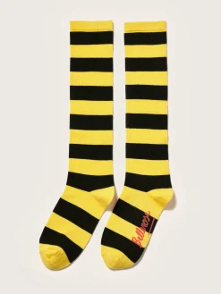 Chaussettes Montantes Bichir